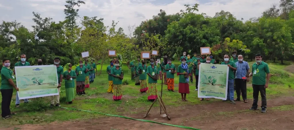1000+ trees planted
